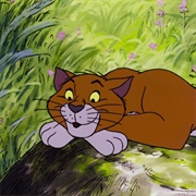 Thomas O'Malley Cat