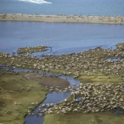 Buffalo Lake National Wildlife Refuge