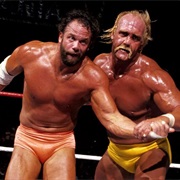 Hulk Hogan vs. Randy Savage,Wrestlemania 5
