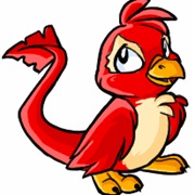 Pteri (Neopets)