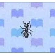 Ant
