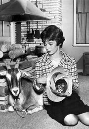 Angel (1960 TV Series)