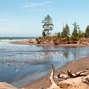 Westport, Washington Beach