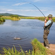 Go Fishing and Eat My Catch