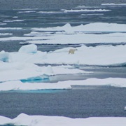 Laptev Sea