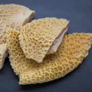 Tripe
