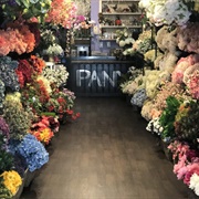 Chelsea Flower Market NYC