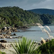 Rakiura Stewart Island