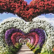 Dubai Miracle Garden, UAE