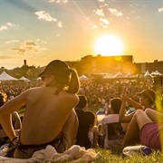 Summer Music Festivals