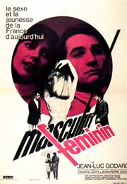 Masculine Feminine