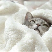 Break Out the Blankets