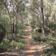 Live Out in the Bush for a Week