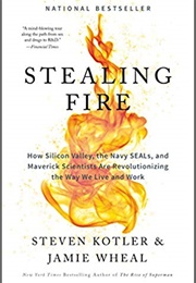 Stealing Fire (Steven Kotler)