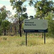 Blackwood National Park (QLD)