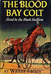 The Blood Bay Colt