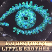 Big Brother's Little Brother
