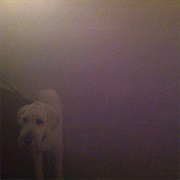 Oneohtrix Point Never - Dog in the Fog - 'Replica' Collaborations & Remixes