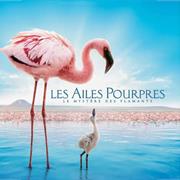 The Cinematic Orchestra  -  Arrival of the Birds