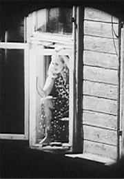 The Shoe (Laila Pakalnina)