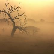 Khamsin or Sirocco or Simoom