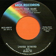 What&#39;s Your Name - Lynyrd Skynyrd