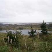 Wiri Mountain / Matukutūruru