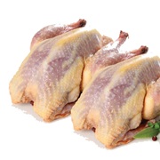 Partridge