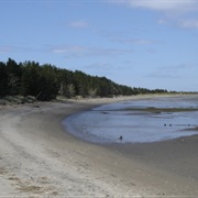 Leadbetter Point State Park, Washington