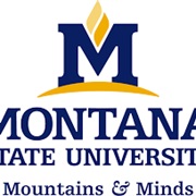 Montana State University