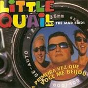 Little Quail and the Mad Birds - A Primeira Vez Que Você Me Beijou