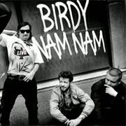 Birdy Nam Nam