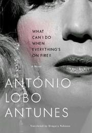 What Can I Do When Everything's on Fire?