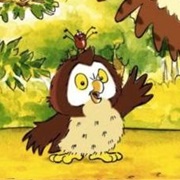 Little Hoot