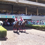 Del Mar Thoroughbred Club, Del Mar, CA