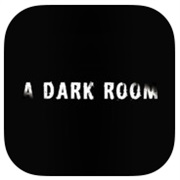 A Dark Room