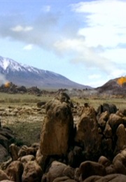 Basics, Part 2 (1996)