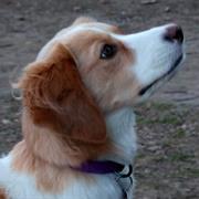 Ten Things I Hate About You