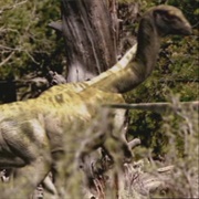 Dryosaurus