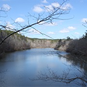 Weogufka State Forest