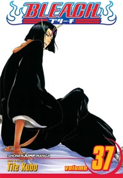 Bleach Volume 37 (Tite Kubo)