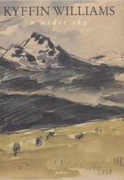 A Wider Sky (Kyffin Williams)