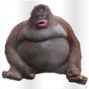 Le Monke / Uh Oh Stinky