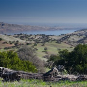 Pacheco State Park, California