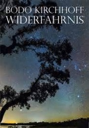 Widerfahrnis (Bodo Kirchhoff)