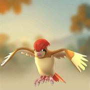 #17 Pidgeotto