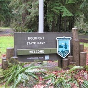 Rockport State Park, Washington