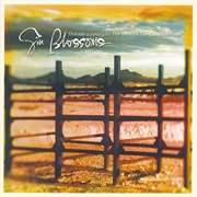 Outside Looking In: The Best of the Gin Blossoms