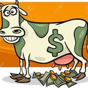 A Cash Cow