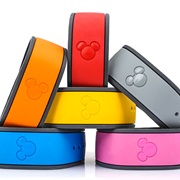 Own a Magic Band
